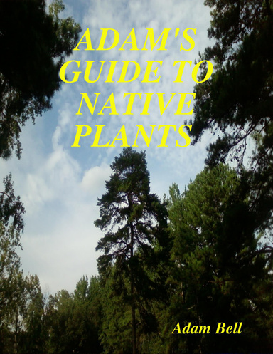 ADAM'S GUIDE TO NATIVE PLANTS