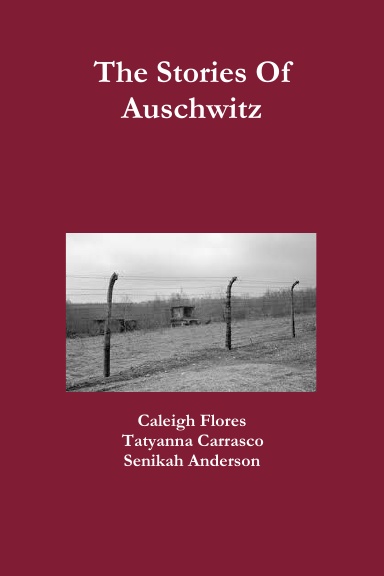 The Stories Of Auschwitz