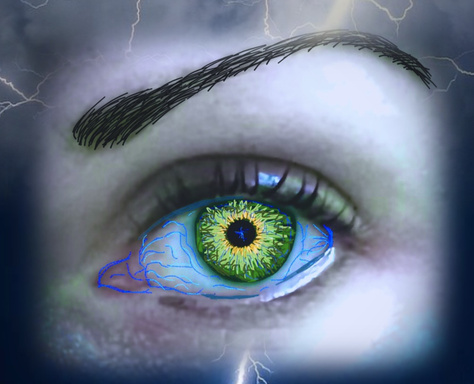 Image of Author Faye Hollidaye