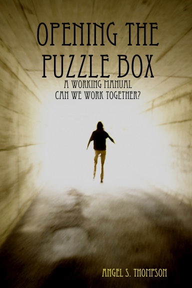 Opening The Puzzle Box