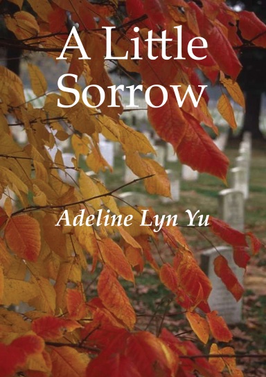 A Little Sorrow