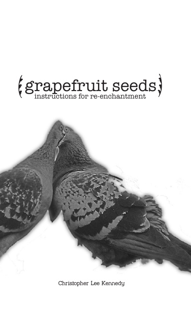 Grapefruit Seeds