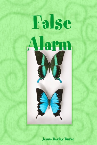 False Alarm