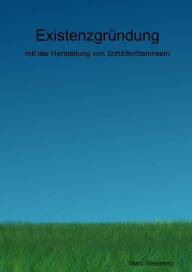Existenzgründung - mit der Herstellung von Schildkröteninseln