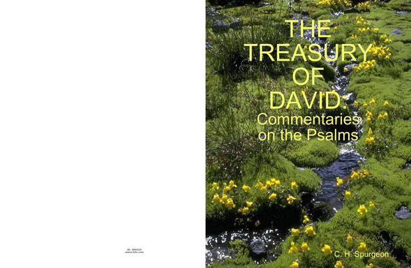 THE TREASURY OF DAVID: Commentaries On The Psalms