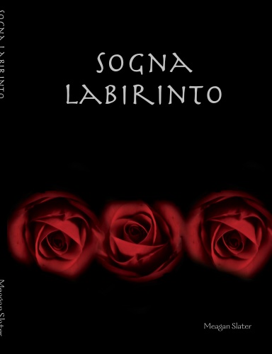 Sogna Labirinto