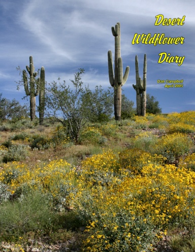 Desert Wildflower Diary
