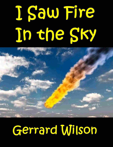 I Saw Fire In the Sky