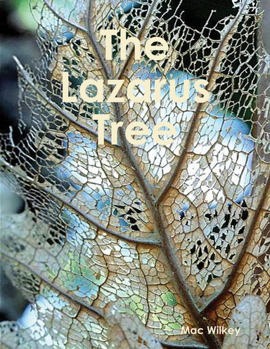 The Lazarus Tree