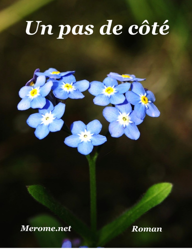 Un pas de côté