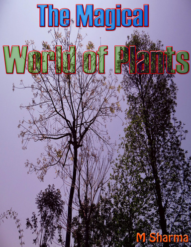 The Magical World of Plants