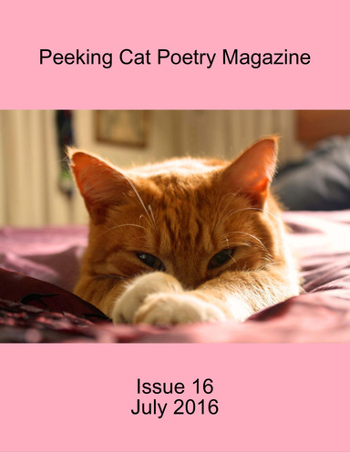 Peeking Cat Poetry Magazine Issue 16 - July 2016