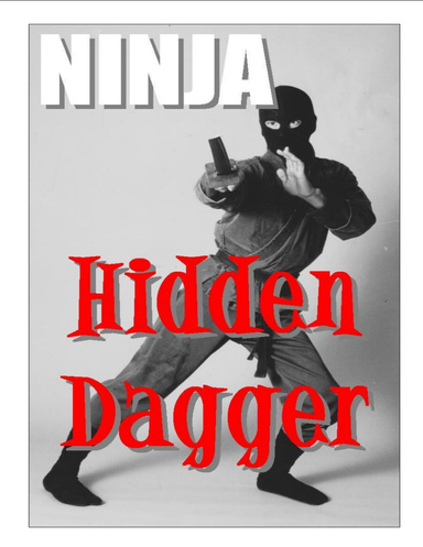 Ninja Hidden Dagger