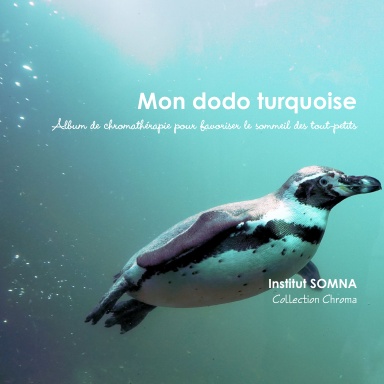 Mon dodo turquoise