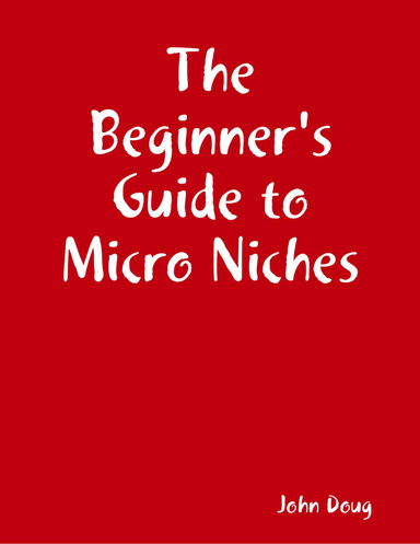 The Beginner's Guide to Micro Niches