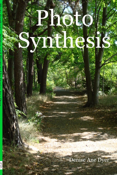 Photo Synthesis