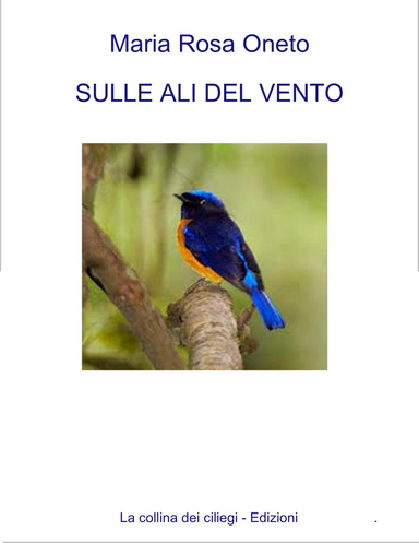 SULLE ALI DEL VENTO