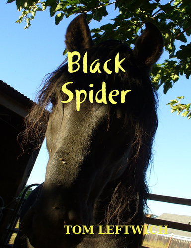 Black Spider