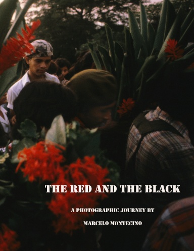 The Red and the Black