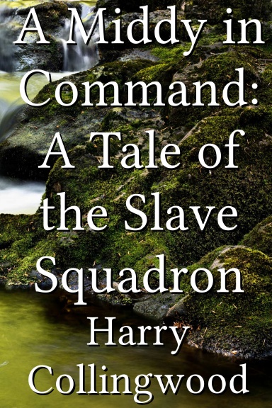 A Middy in Command: A Tale of the Slave Squadron