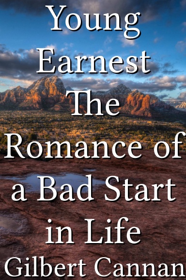 Young Earnest The Romance of a Bad Start in Life