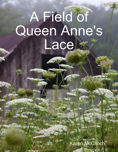 A Field of Queen Anne's Lace