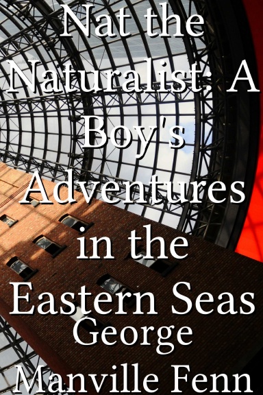 Nat the Naturalist: A Boy's Adventures in the Eastern Seas