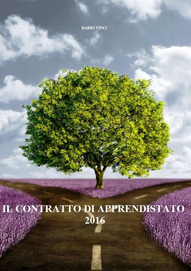 Il Contratto di Apprendistato 2016