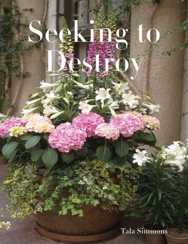 Seeking to Destroy