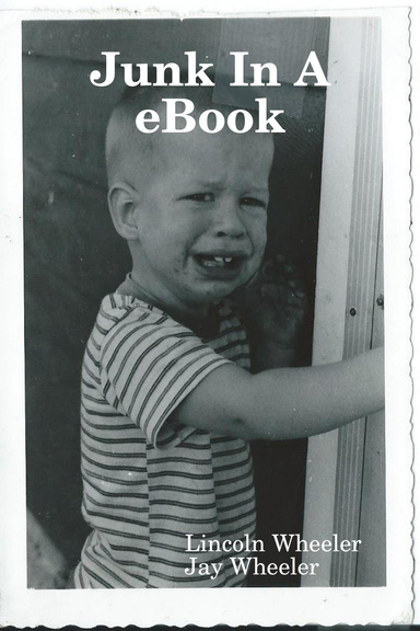 Junk In A eBook