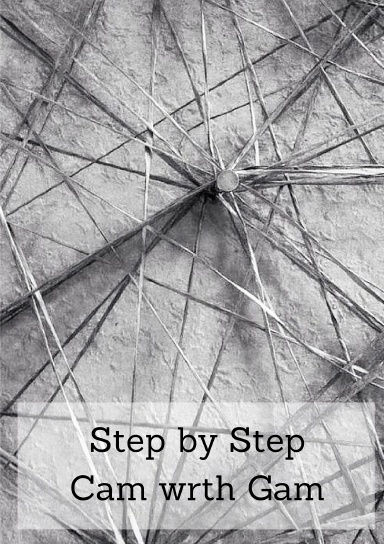 Step by Step / Cam wrth Gam