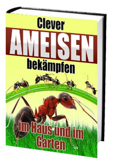 Clever Ameisen bekämpfen - Im Haus und im Garten