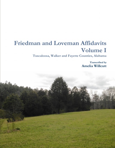 Friedman and Loveman Affidavits Volume I