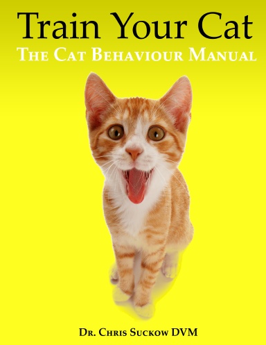 Cat Behaviour & Training