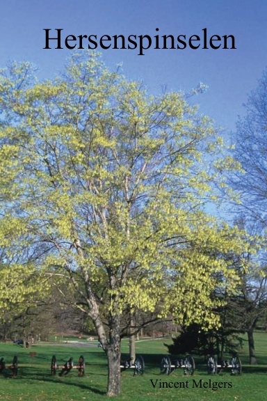 Hersenspinselen