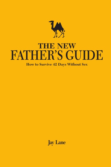 The New Father's Guide: How to Survive 42 Days Without Sex