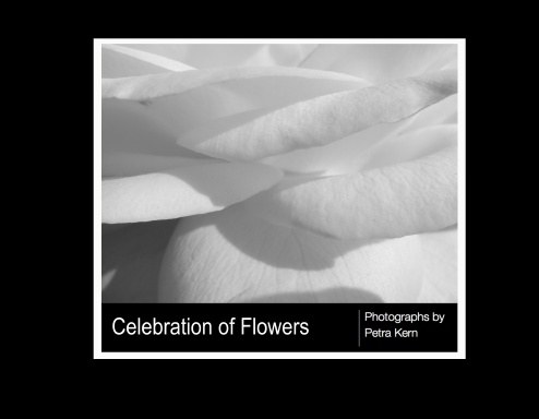 Celebration of Flowers