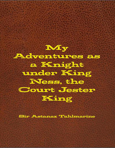 My Adventures as a Knight eBook