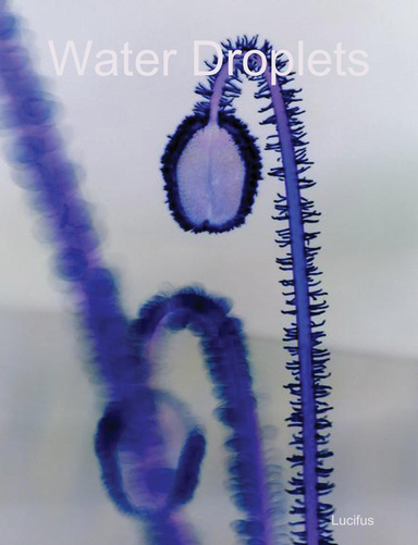 Water Droplets