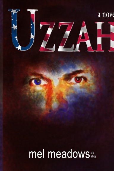Uzzah a novel