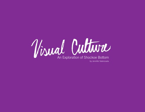 visual culture book