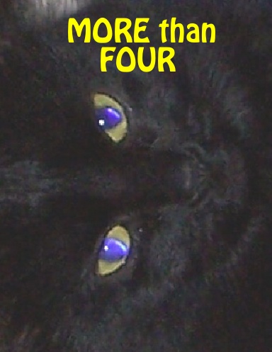 MORE than FOUR