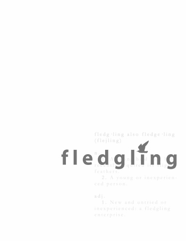 fledgling (issue one)