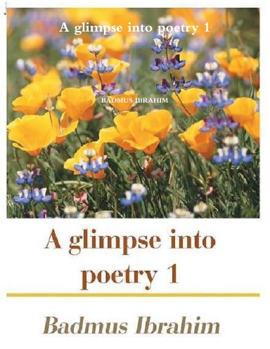A glimpse into poetry 1