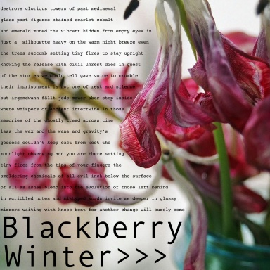 Blackberry Winter