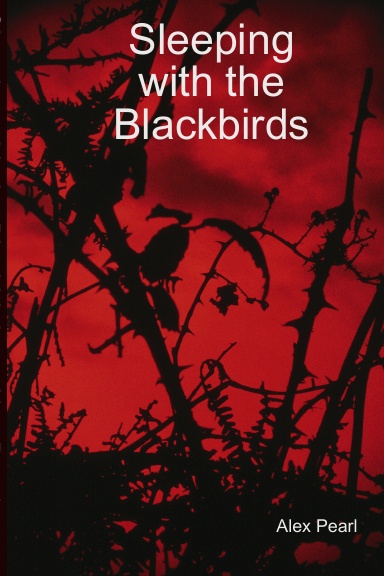 Sleeping with the Blackbirds