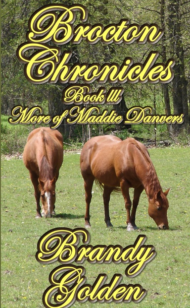 Brocton Chronicles: Book III: More of Maddie Danvers