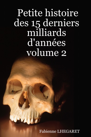 Petite histoire des 15 derniers milliards d'années volume 2