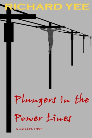 Plungers in the Power Lines (Paperback)