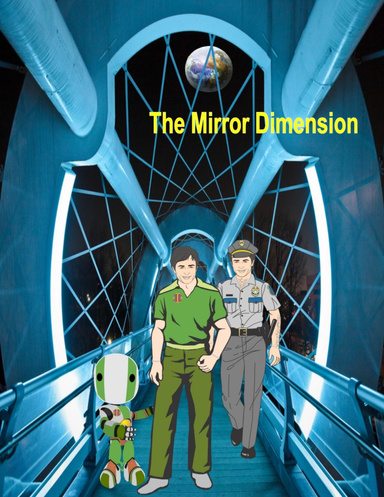 The Mirror Dimennsion